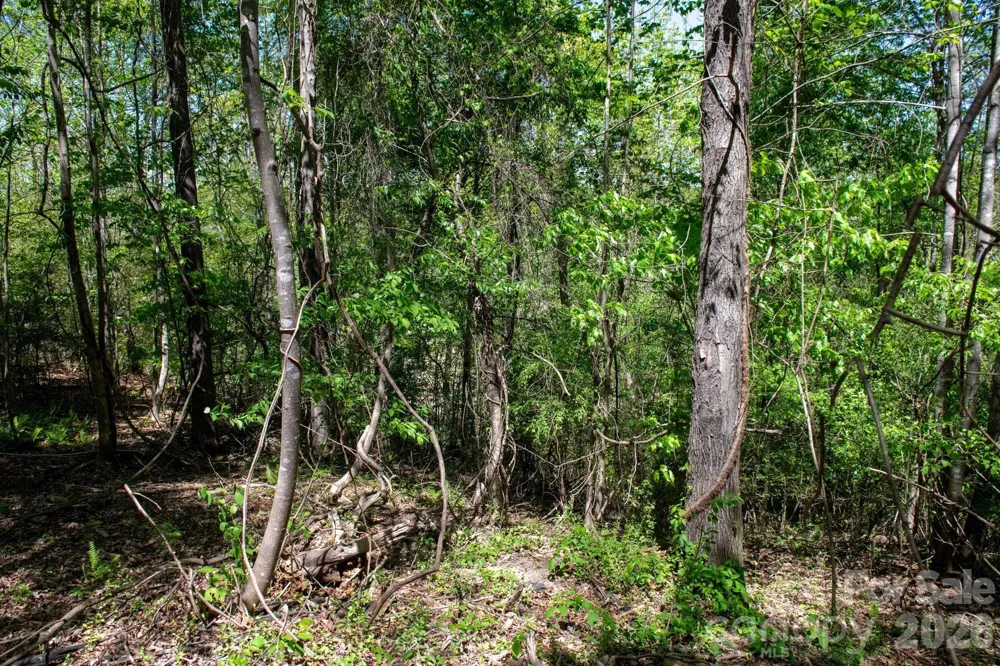 TBD Rockwood Drive Lenoir, NC 28645
