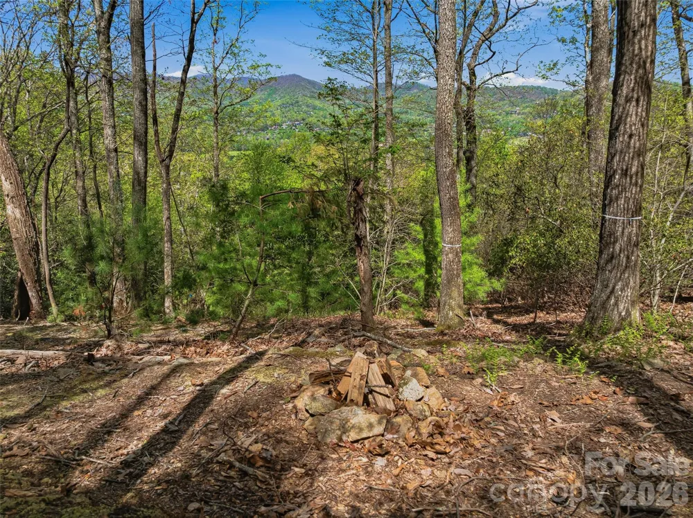 27 Deer Grass Court Arden, NC 28704