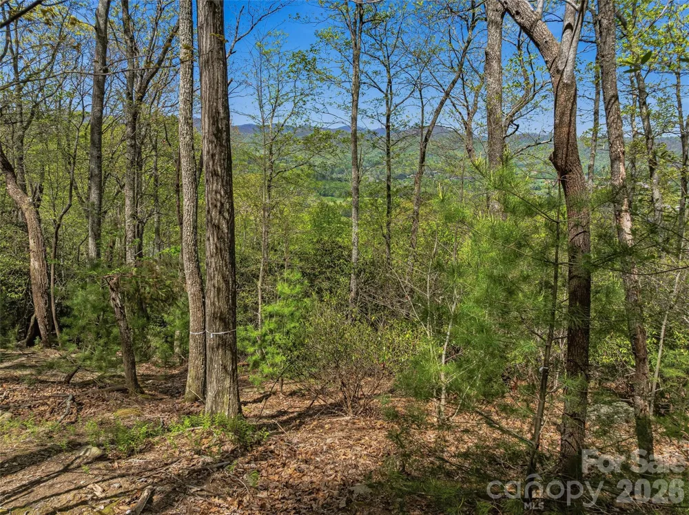 27 Deer Grass Court Arden, NC 28704