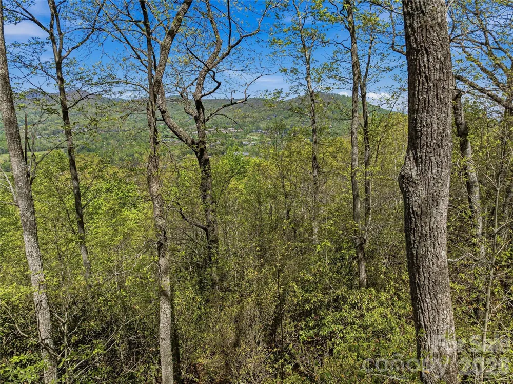 27 Deer Grass Court Arden, NC 28704