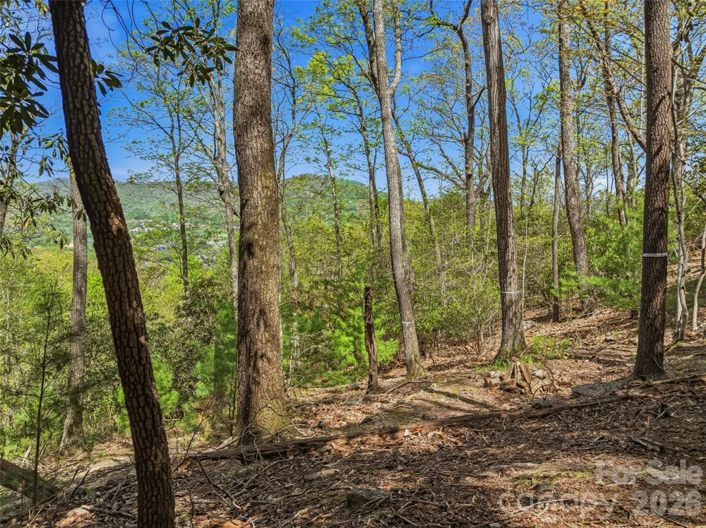 27 Deer Grass Court Arden, NC 28704