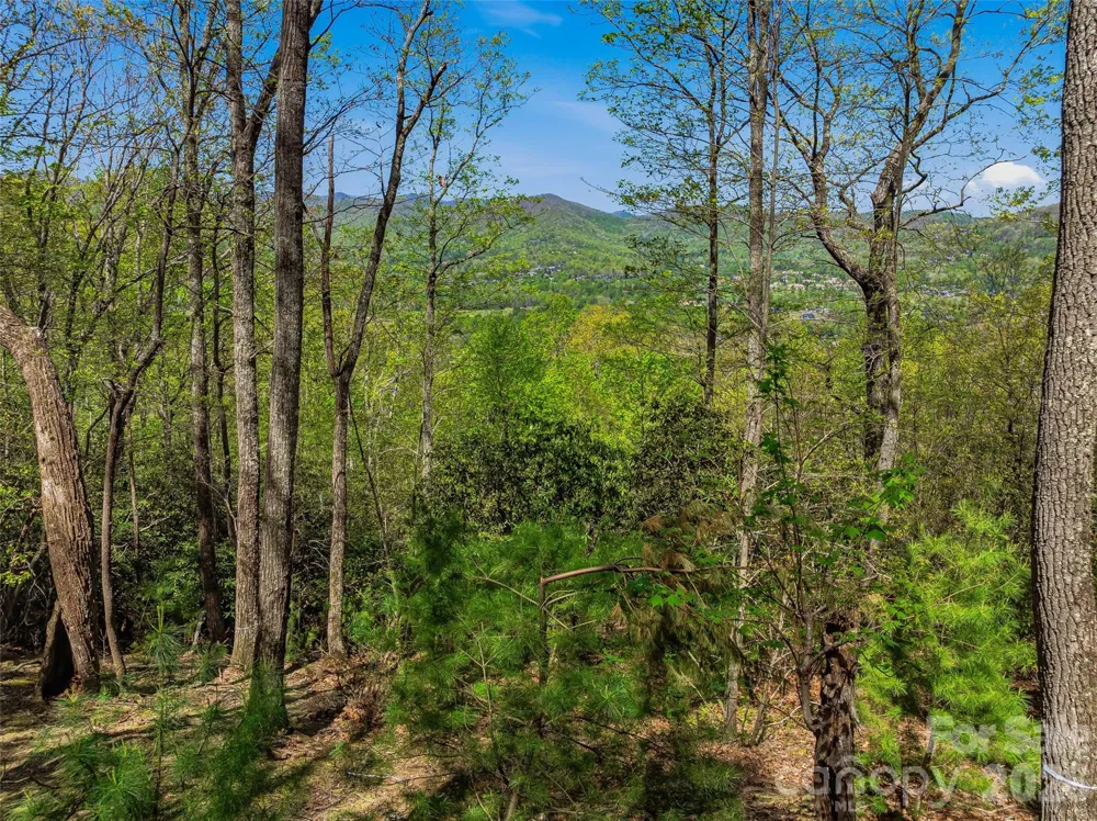 27 Deer Grass Court Arden, NC 28704