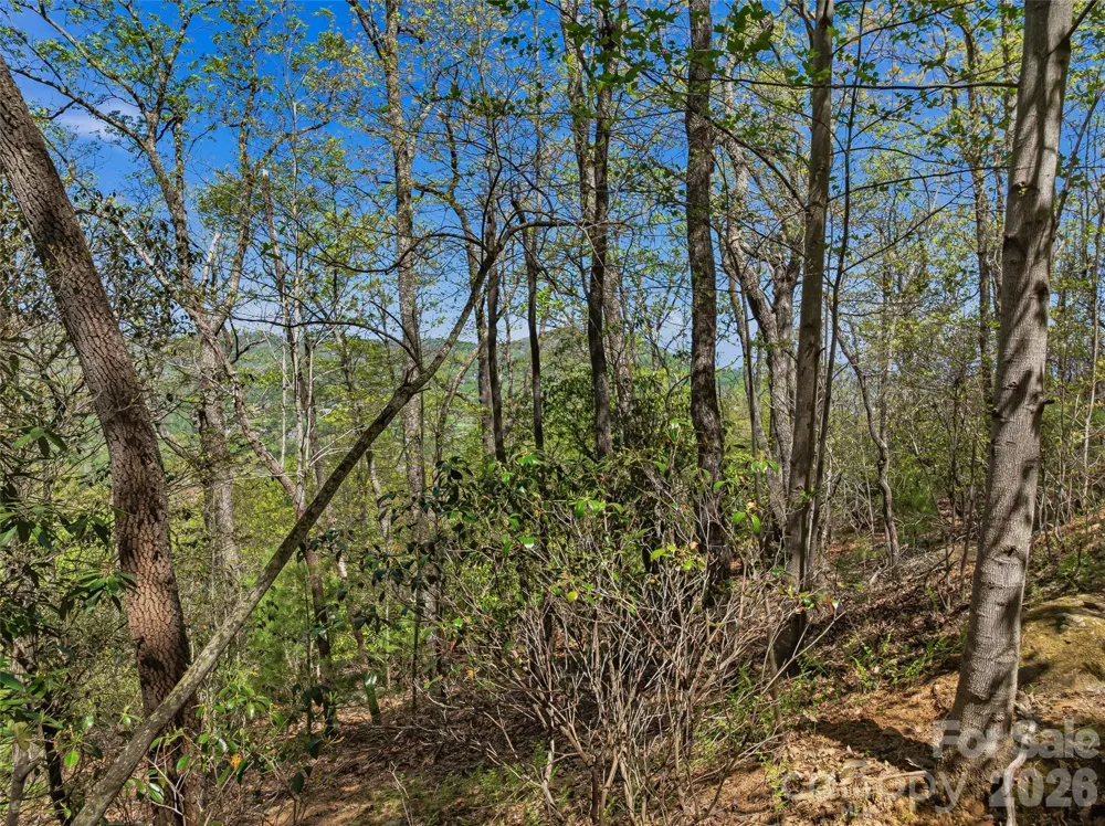 27 Deer Grass Court Arden, NC 28704