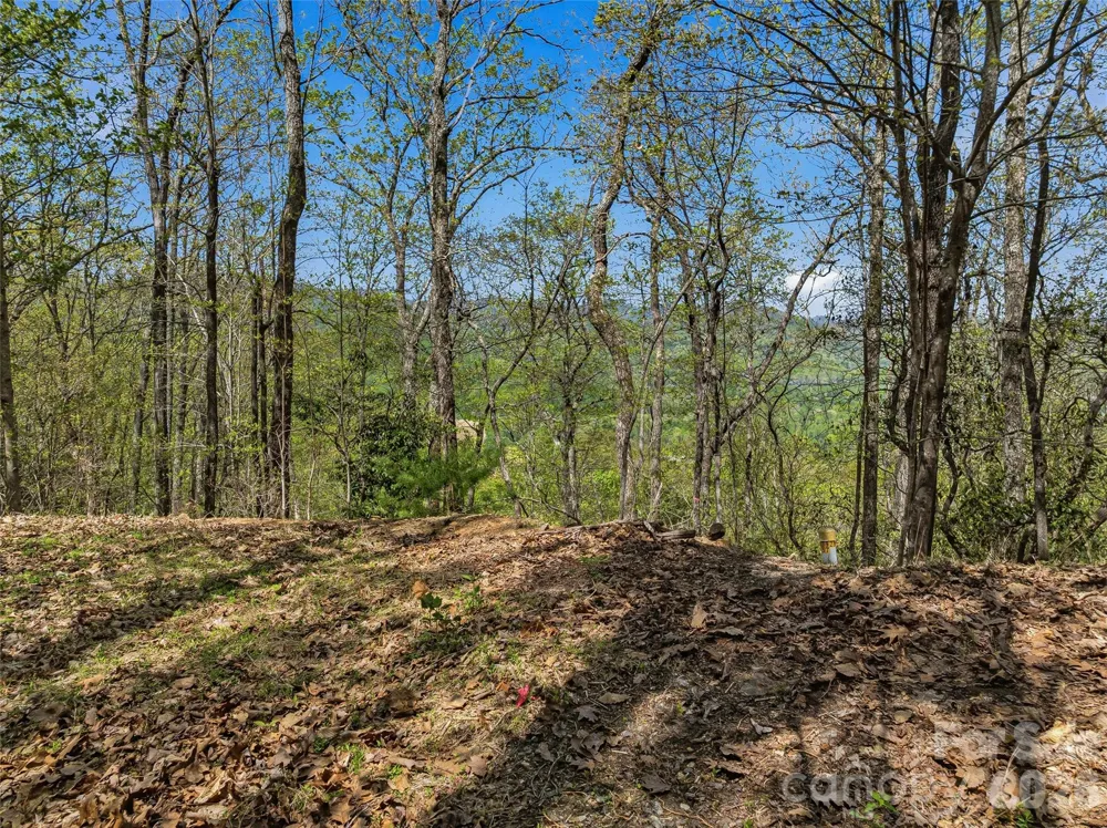 27 Deer Grass Court Arden, NC 28704