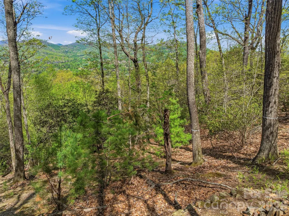 27 Deer Grass Court Arden, NC 28704