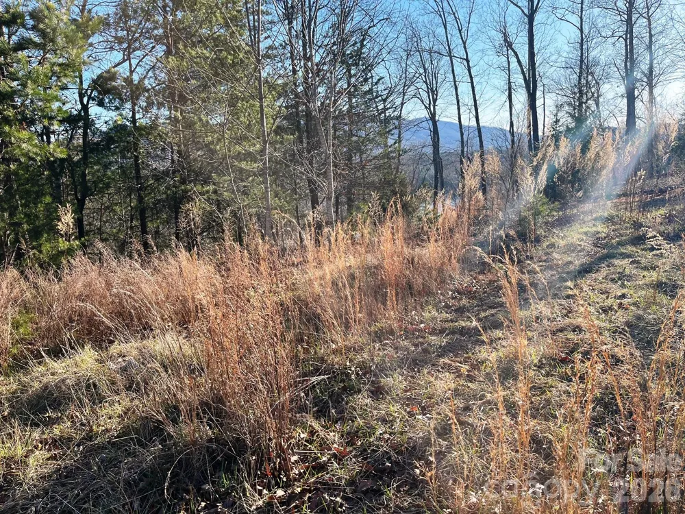 Lot 30 Mountain Parkway Mill Spring, NC 28756