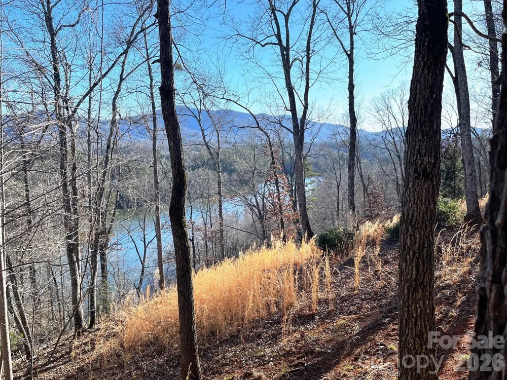 Lot 30 Mountain Parkway Mill Spring, NC 28756