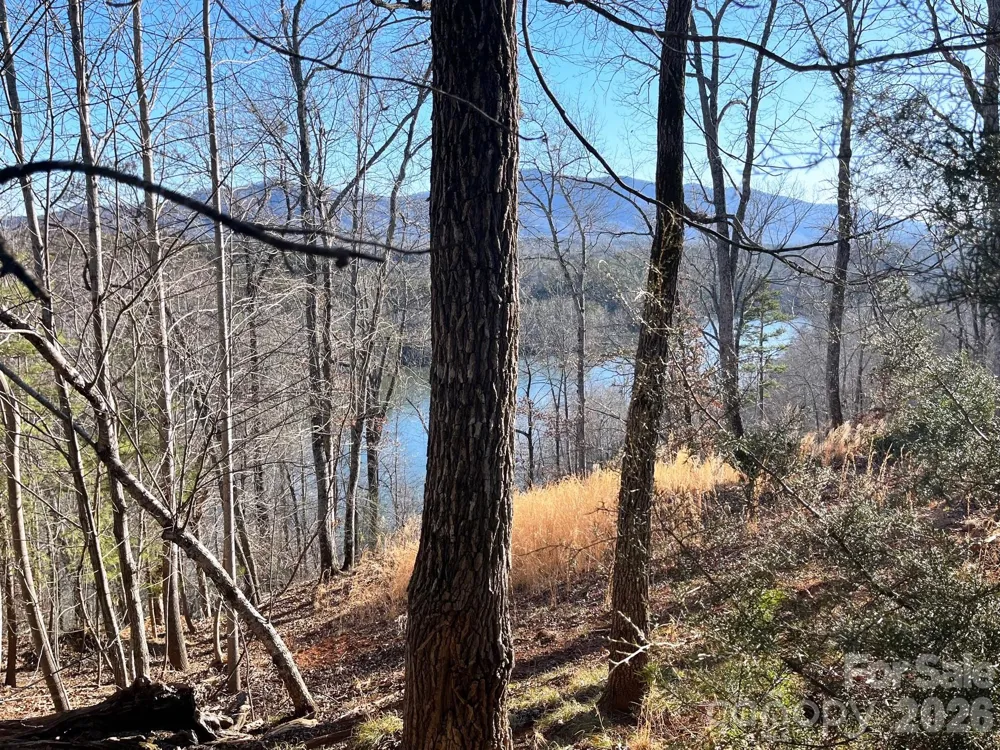 Lot 30 Mountain Parkway Mill Spring, NC 28756