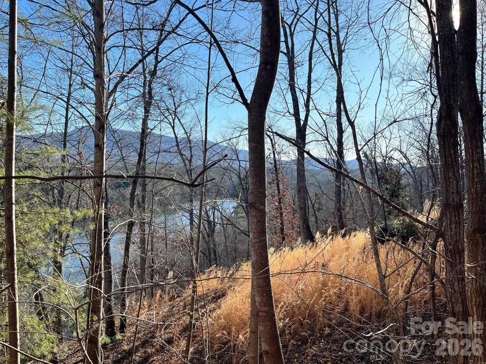Lot 30 Mountain Parkway Mill Spring, NC 28756