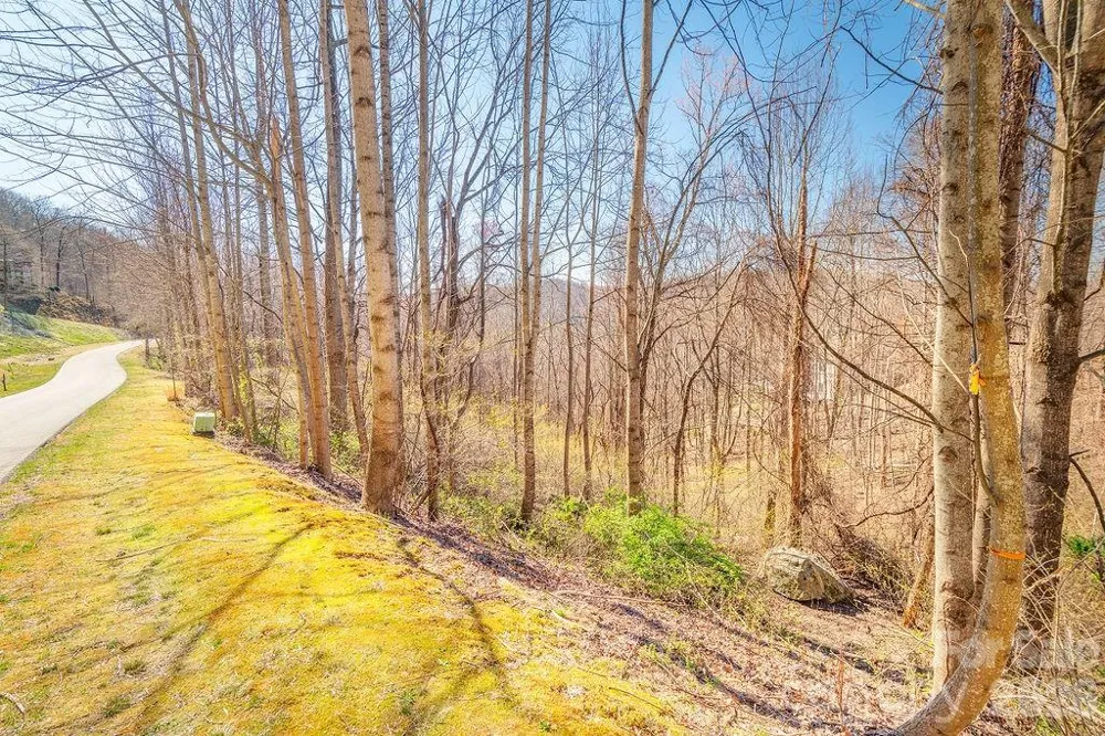 461 Somersby Parkway Hendersonville, NC 28739