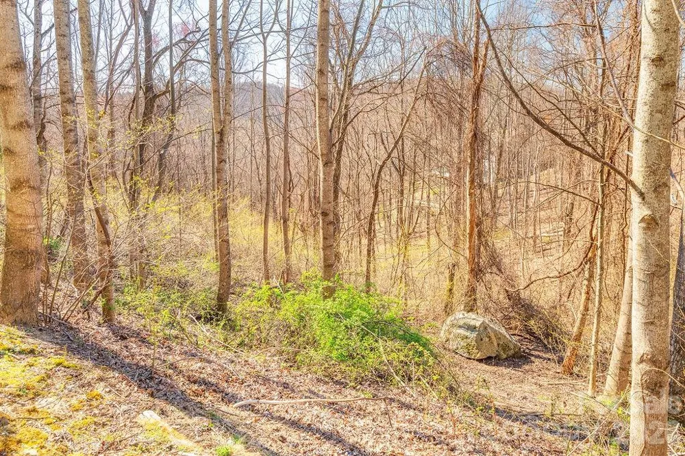 461 Somersby Parkway Hendersonville, NC 28739