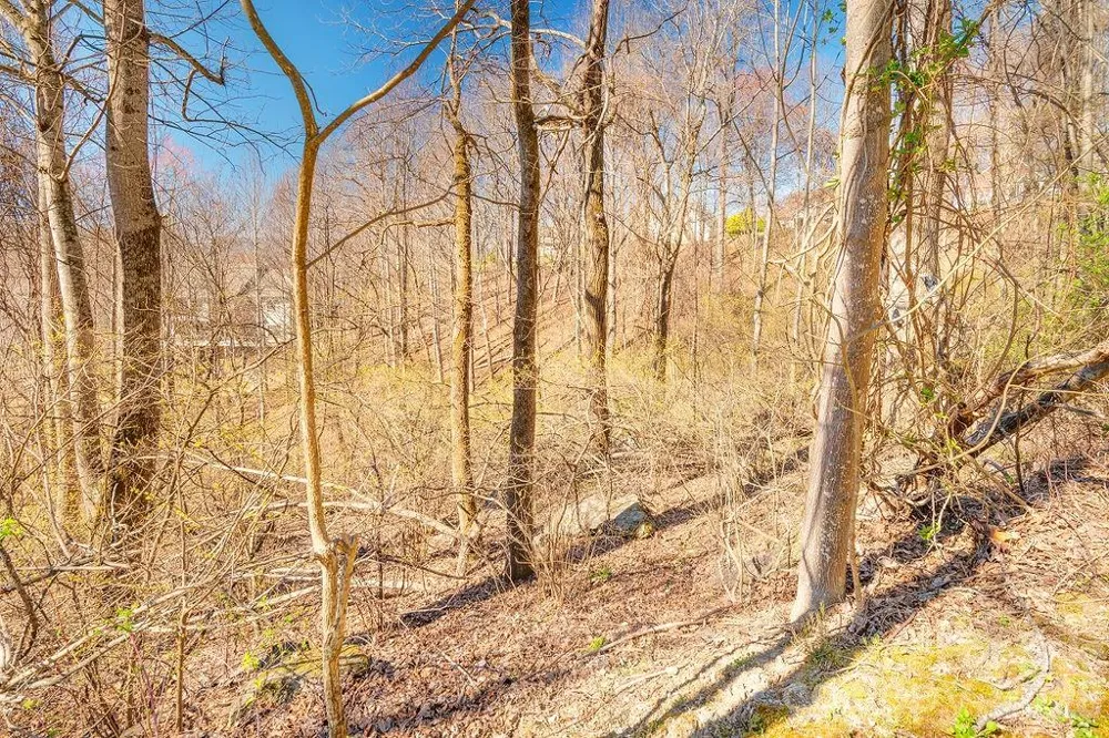 461 Somersby Parkway Hendersonville, NC 28739