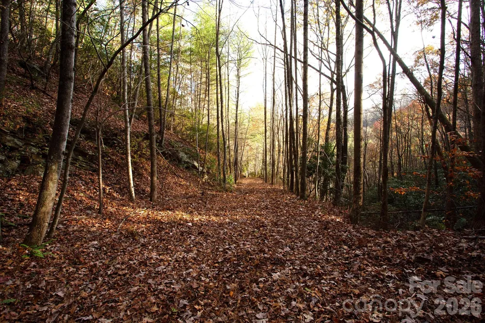 TBD Rector Branch Road #4 Marshall, NC 28743