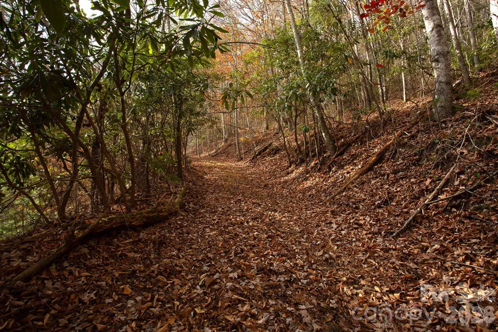 TBD Rector Branch Road #4 Marshall, NC 28743