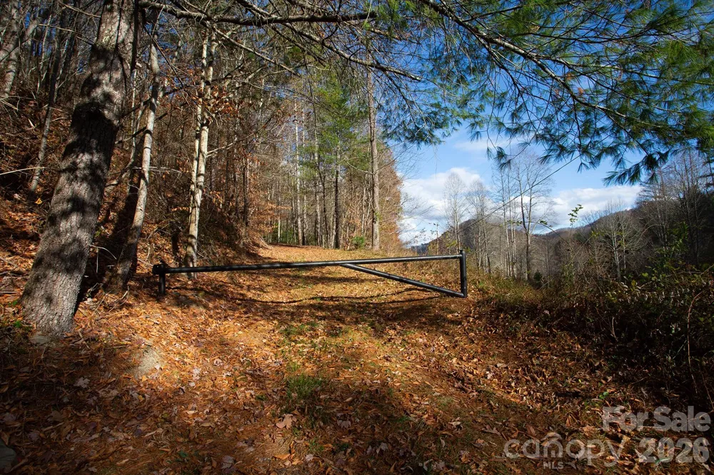 TBD Rector Branch Road #4 Marshall, NC 28743