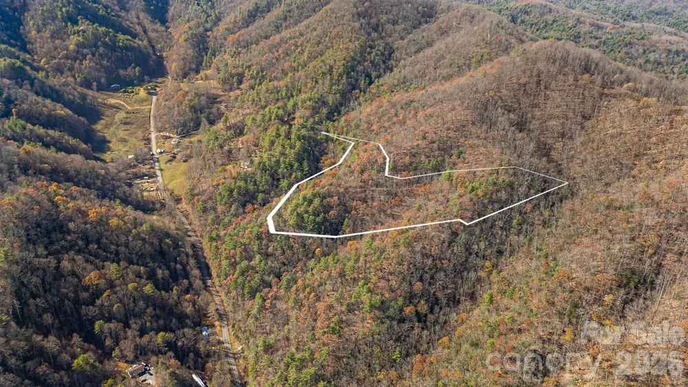 TBD Rector Branch Road #4 Marshall, NC 28743
