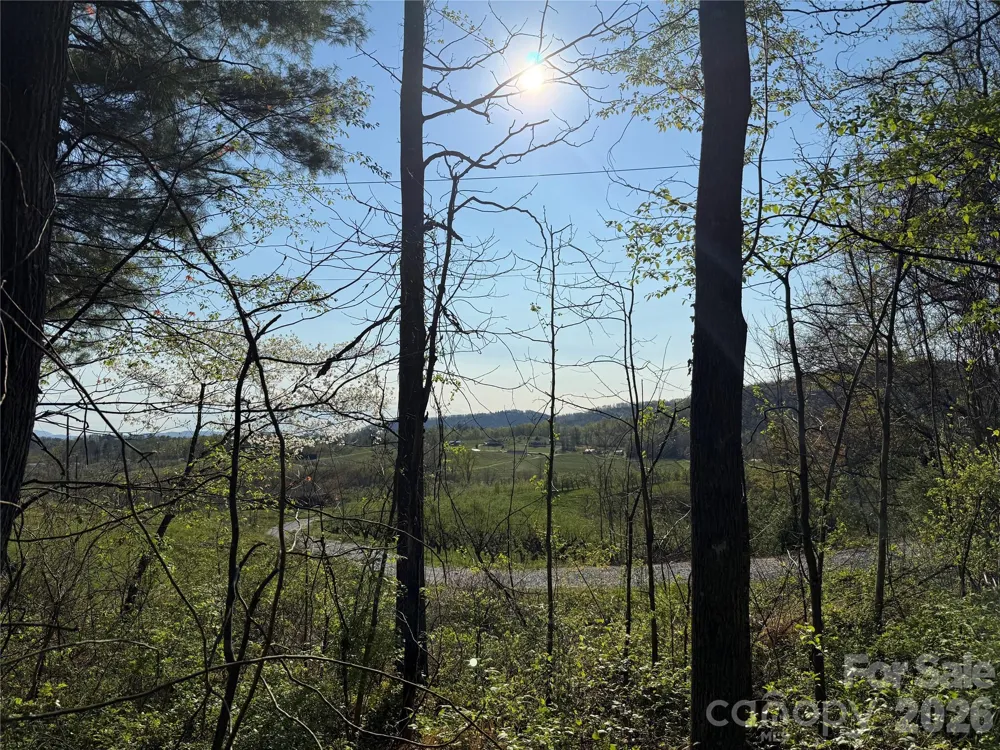 000 Woodlyn Etch Drive Hendersonville, NC 28792