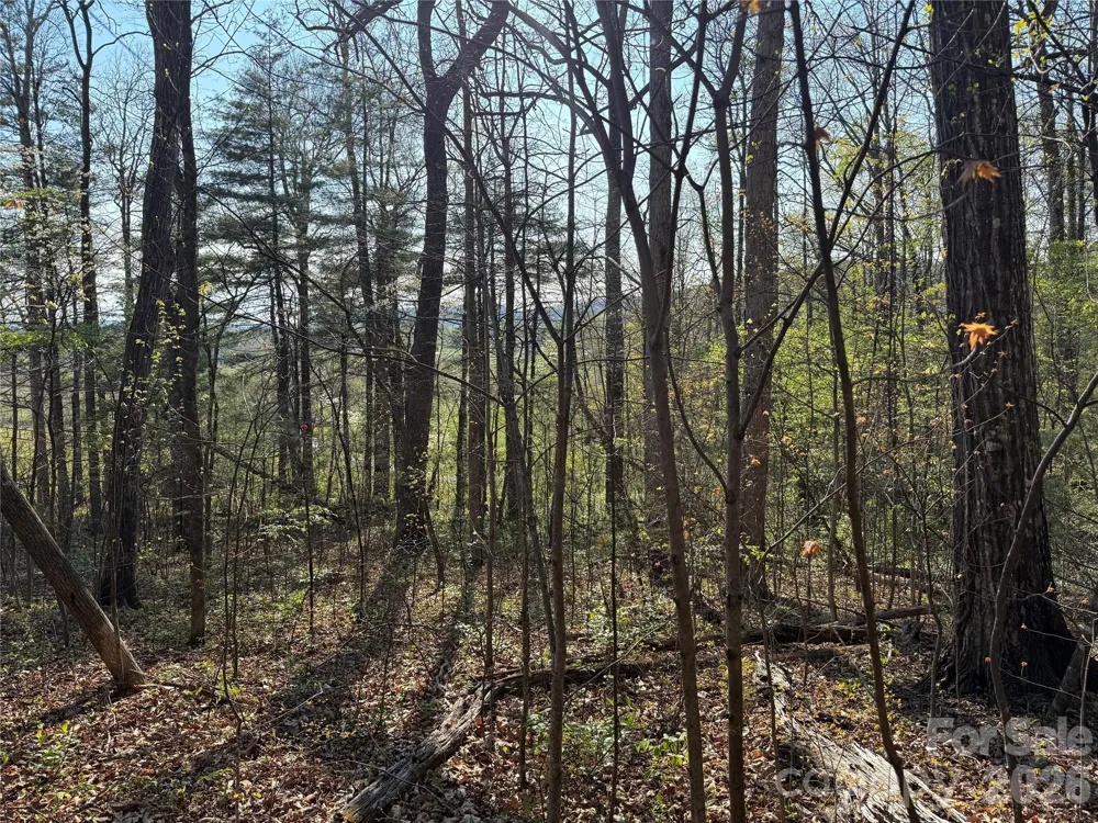 000 Woodlyn Etch Drive Hendersonville, NC 28792