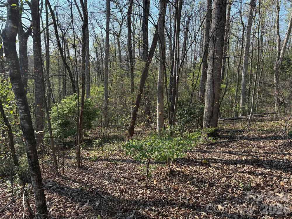 000 Woodlyn Etch Drive Hendersonville, NC 28792