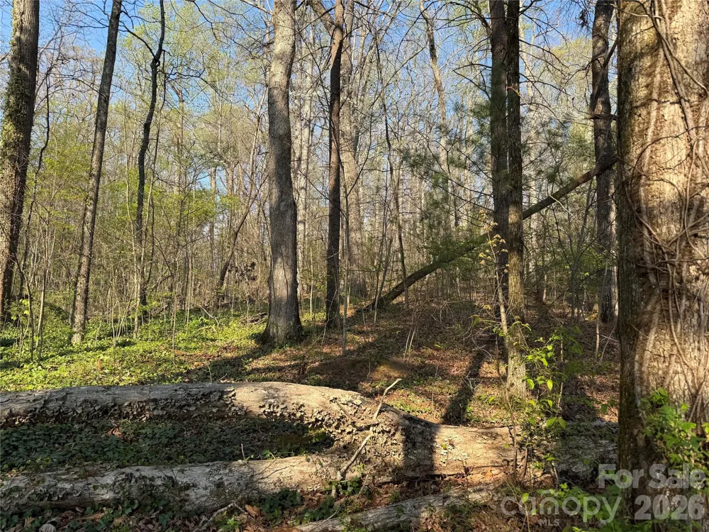 000 Woodlyn Etch Drive Hendersonville, NC 28792