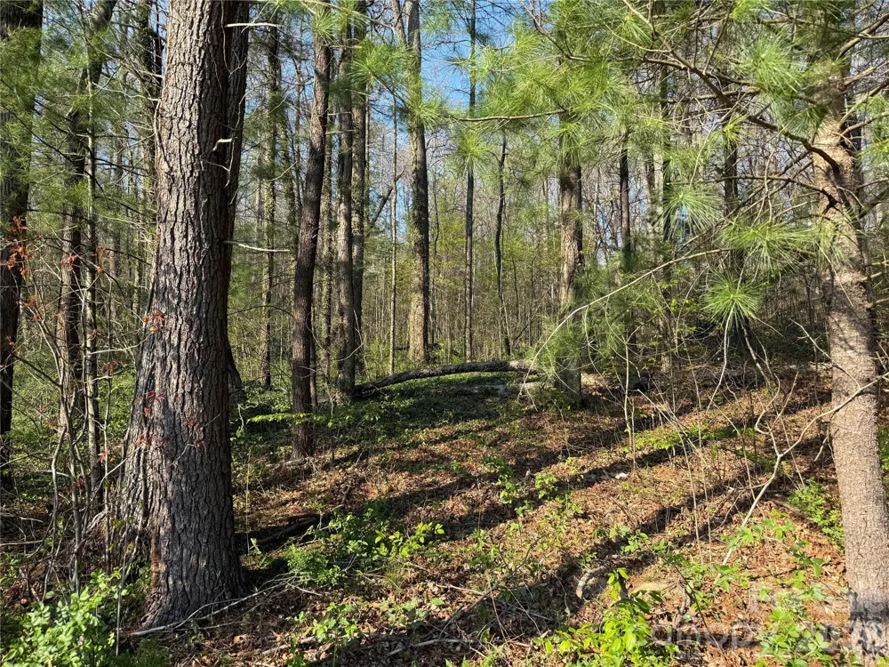 000 Woodlyn Etch Drive Hendersonville, NC 28792