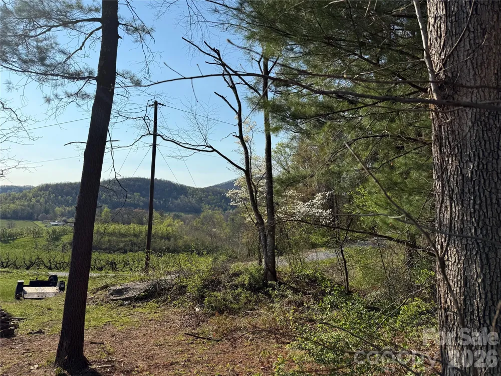 000 Woodlyn Etch Drive Hendersonville, NC 28792