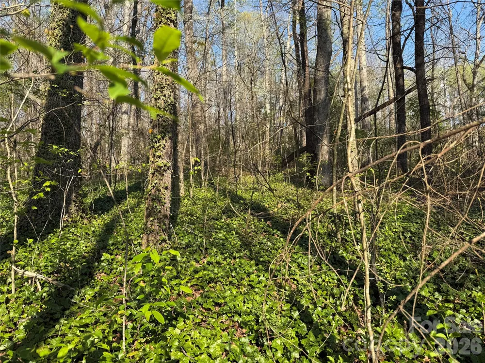 000 Woodlyn Etch Drive Hendersonville, NC 28792