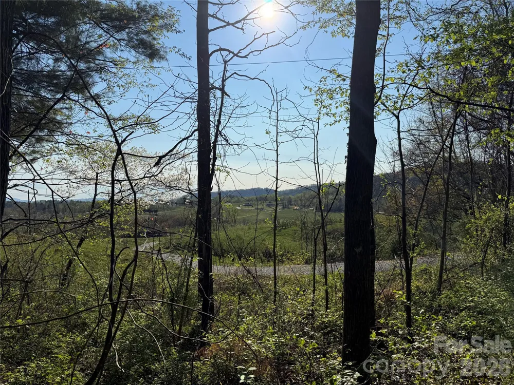 000 Woodlyn Etch Drive Hendersonville, NC 28792