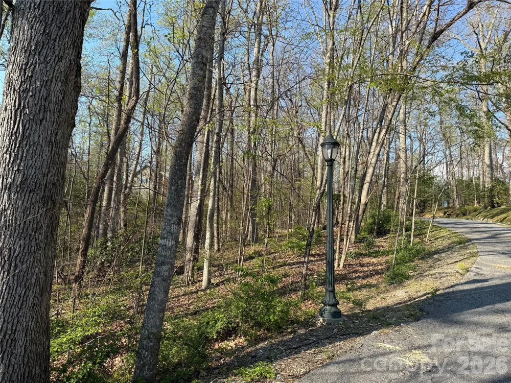 000 Woodlyn Etch Drive Hendersonville, NC 28792