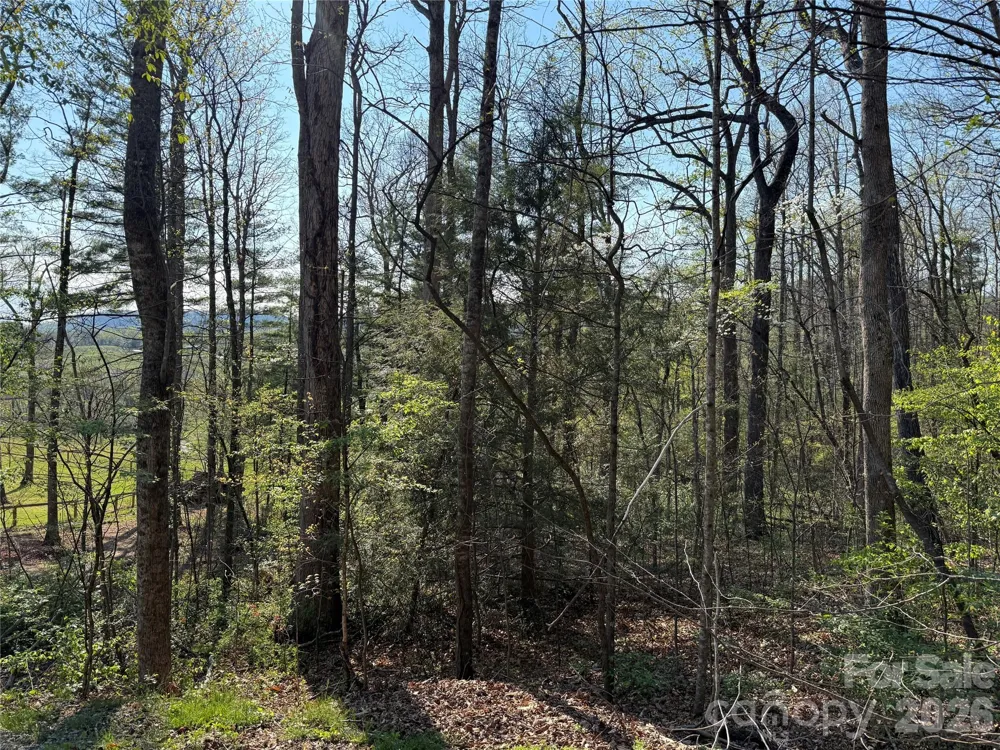 000 Woodlyn Etch Drive Hendersonville, NC 28792