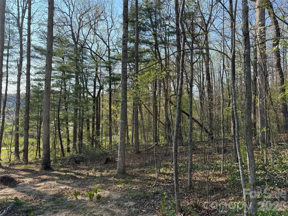 000 Woodlyn Etch Drive Hendersonville, NC 28792