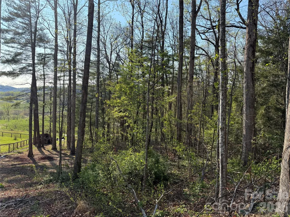 000 Woodlyn Etch Drive Hendersonville, NC 28792
