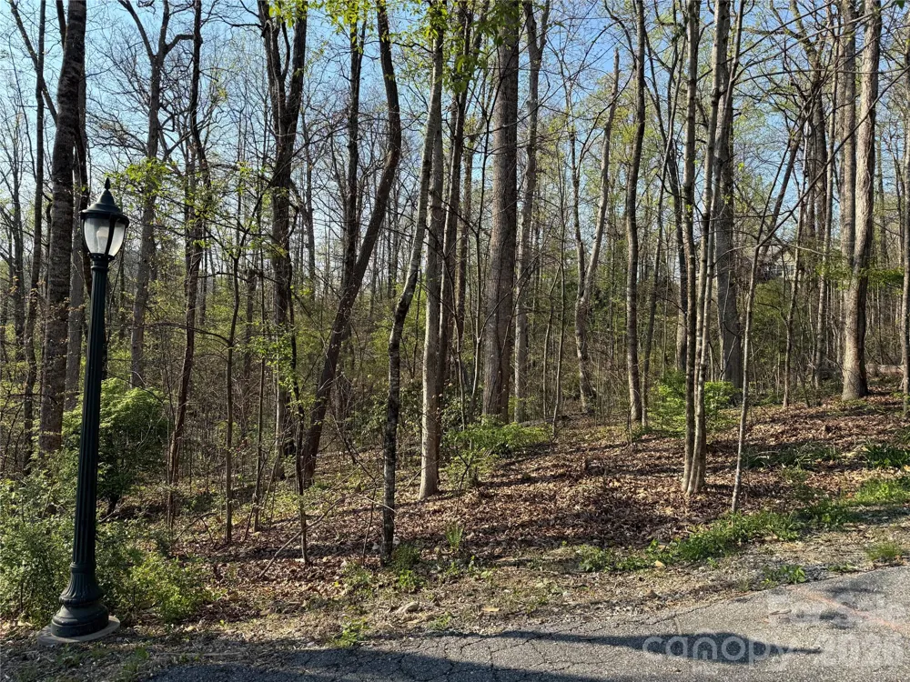 000 Woodlyn Etch Drive Hendersonville, NC 28792