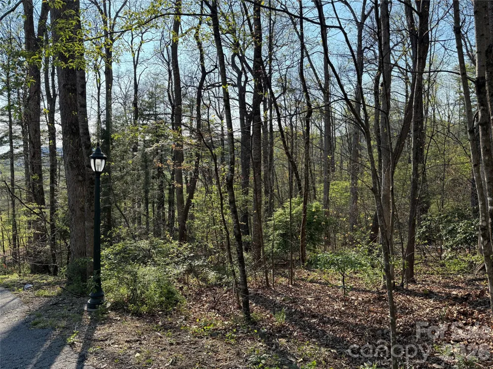 000 Woodlyn Etch Drive Hendersonville, NC 28792