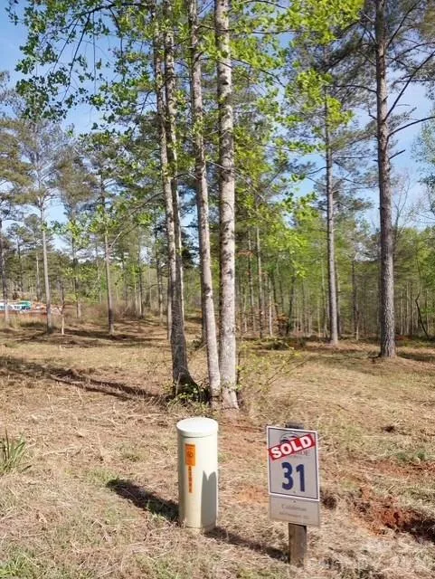 2158 Jumping Run #31 Connelly Springs, NC 28612