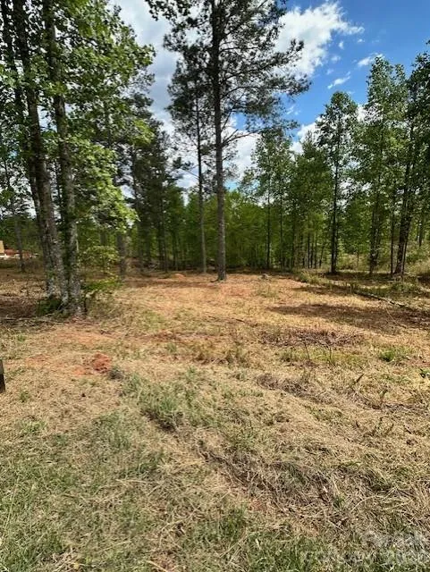 2158 Jumping Run #31 Connelly Springs, NC 28612