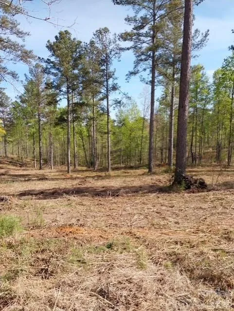 2158 Jumping Run #31 Connelly Springs, NC 28612