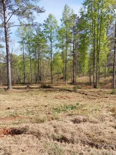 2158 Jumping Run #31 Connelly Springs, NC 28612