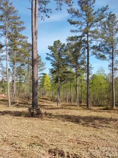 2158 Jumping Run #31 Connelly Springs, NC 28612