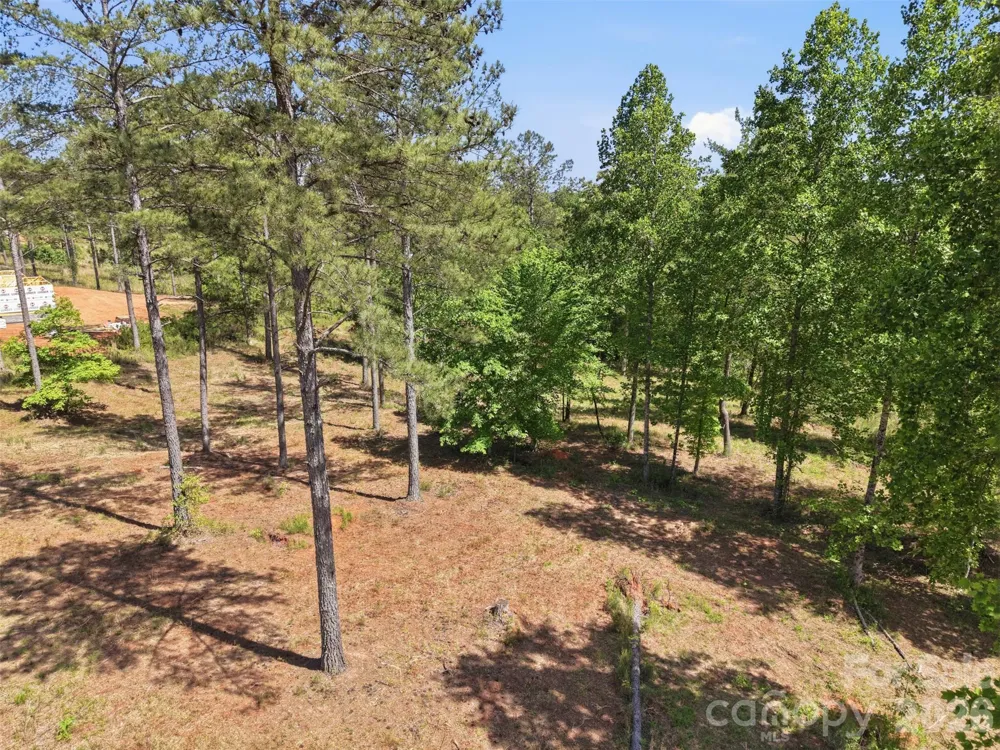 2158 Jumping Run #31 Connelly Springs, NC 28612