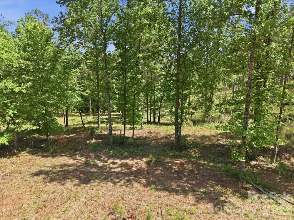 2158 Jumping Run #31 Connelly Springs, NC 28612