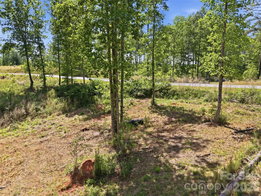 2158 Jumping Run #31 Connelly Springs, NC 28612