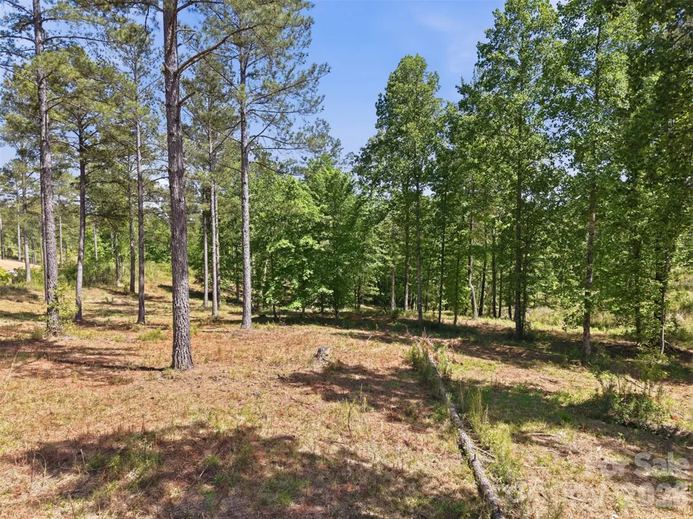 2158 Jumping Run #31 Connelly Springs, NC 28612