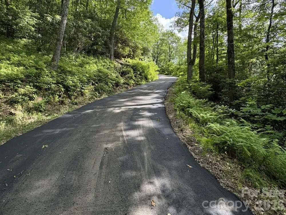 Lt 5B, 15A, 15B Von Trapp Lane #5B, 15A, 15B Tuckasegee, NC 28783