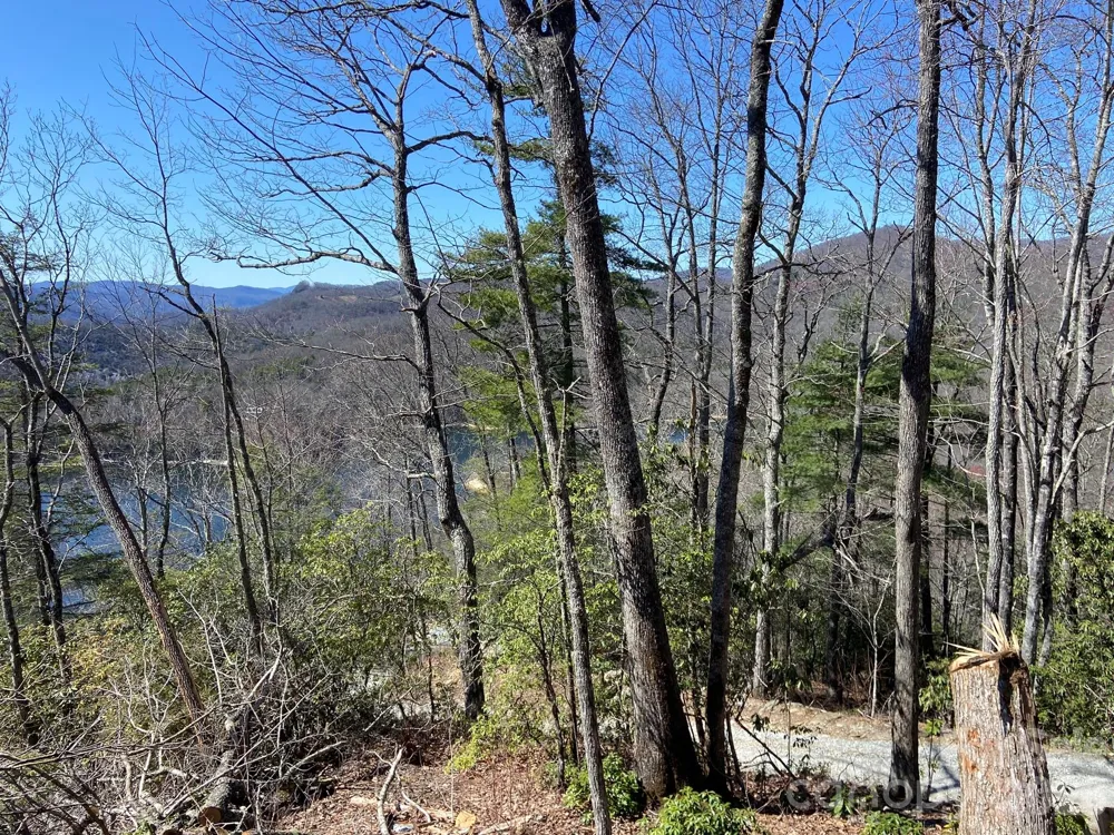 Lt 5B, 15A, 15B Von Trapp Lane #5B, 15A, 15B Tuckasegee, NC 28783