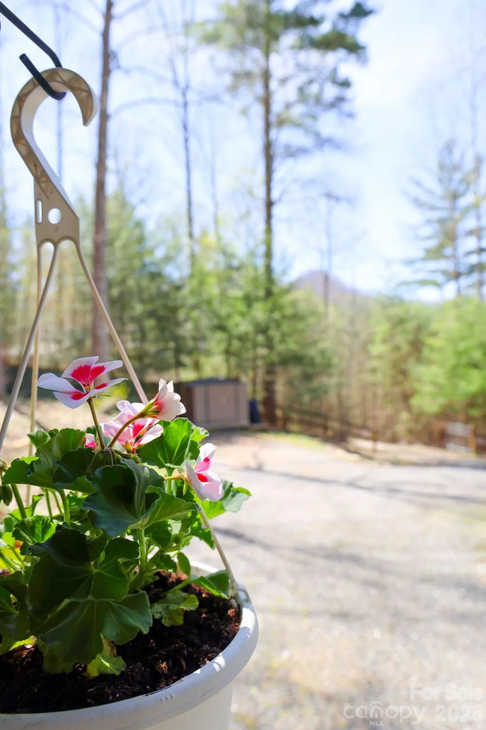 307 Dancing Leaf Lane Bakersville, NC 28705