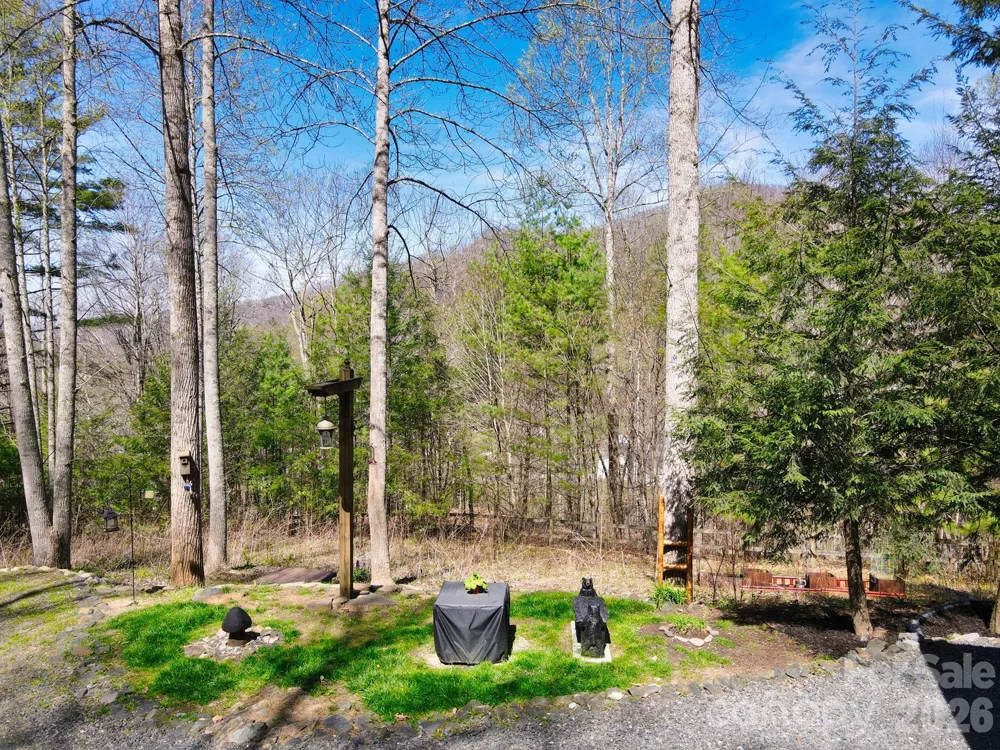307 Dancing Leaf Lane Bakersville, NC 28705
