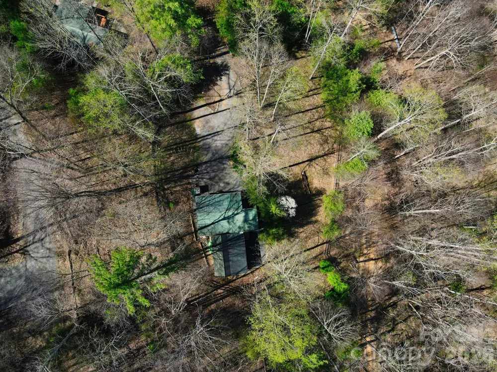 307 Dancing Leaf Lane Bakersville, NC 28705