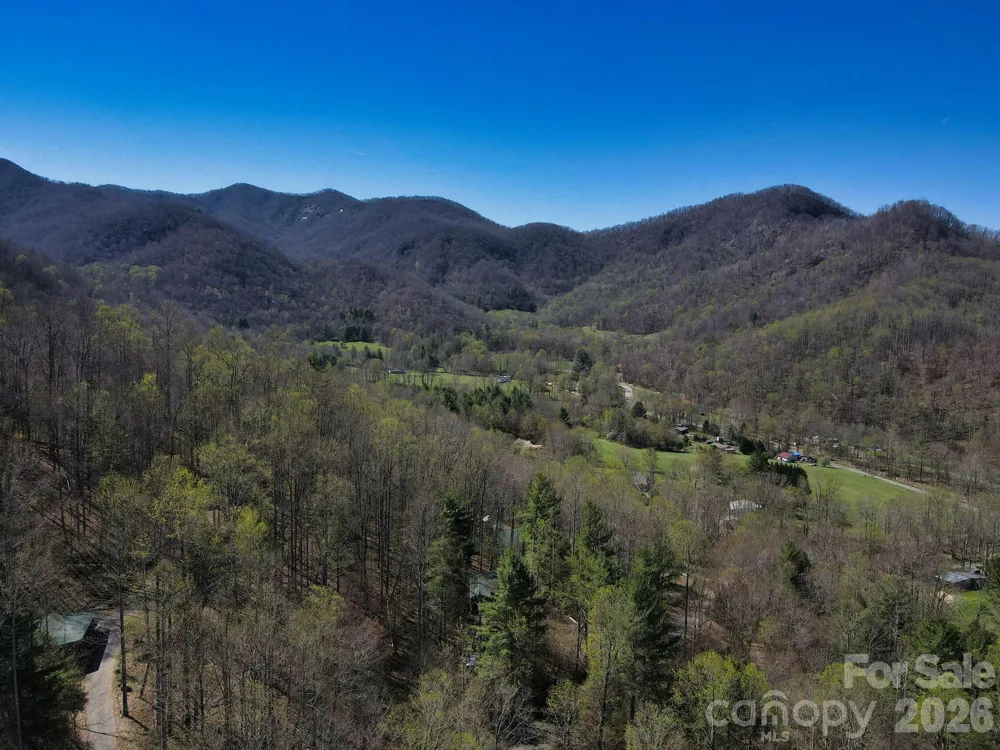 307 Dancing Leaf Lane Bakersville, NC 28705