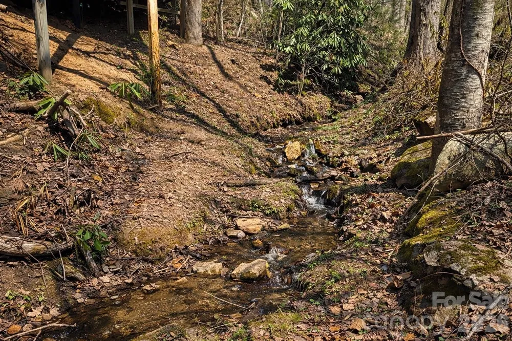 1511 Water Wheel Cove Clyde, NC 28721